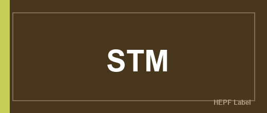 Herstellerlogo STM