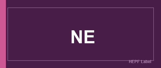 Herstellerlogo NE