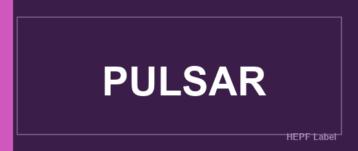 Herstellerlogo PULSAR