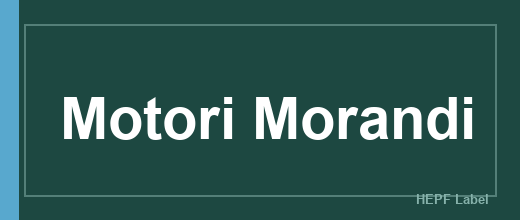 Herstellerlogo Motori Morandi