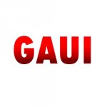 Herstellerlogo Gaui G-Power