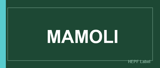 Herstellerlogo MAMOLI