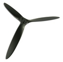 JTL:3886:Fiala3BLPK_2