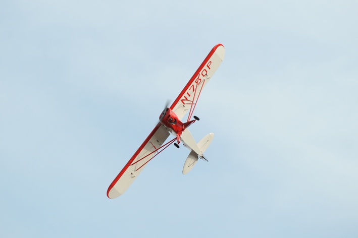JTL:80393:3faf19ae8f5dc8e0dabf30d333c33ebc