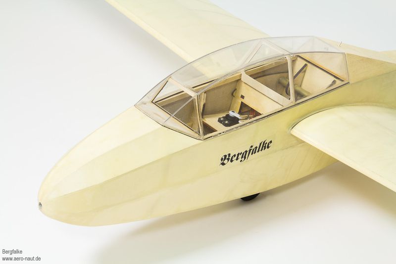 JTL:210167:bergfalke2