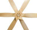 JTL:16099:Fiala6BLV_3