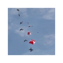 JTL:6064:OP17530