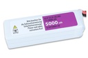 JTL:43098:SLSXT50006140-back