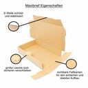 JTL:40672:MB1_2