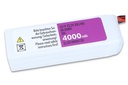 JTL:42929:SLSXT40006120-back