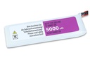 JTL:42931:SLSXT50002120-back