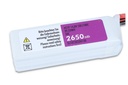 JTL:43411:SLSXT26504150-back