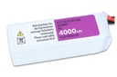 JTL:43437:SLSXT40006150-back
