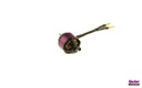 JTL:56963:A10-13L-kv1300-97100010_b_1