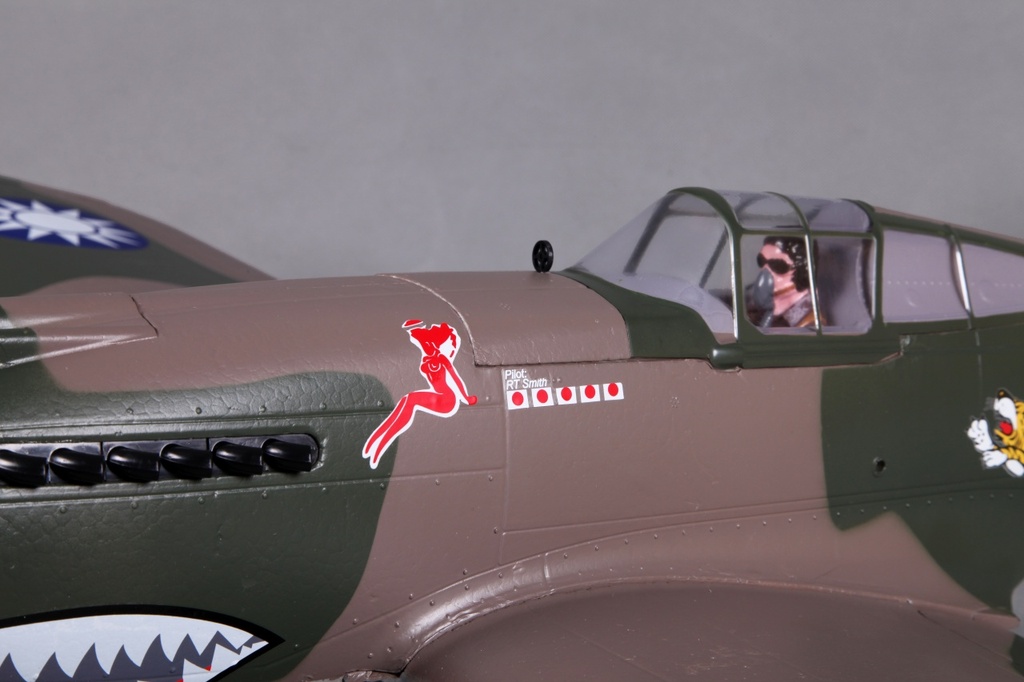 JTL:40288:Curtiss Warhark6