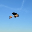 JTL:88360:RCF007
