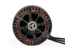 JTL:205666:MN1010KV135-4-1620726344575997446