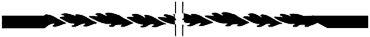 JTL:202189:28092_28746