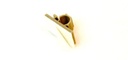 JTL:194737:3c2fad0e6bc3c8a06dffbf3580f4c957