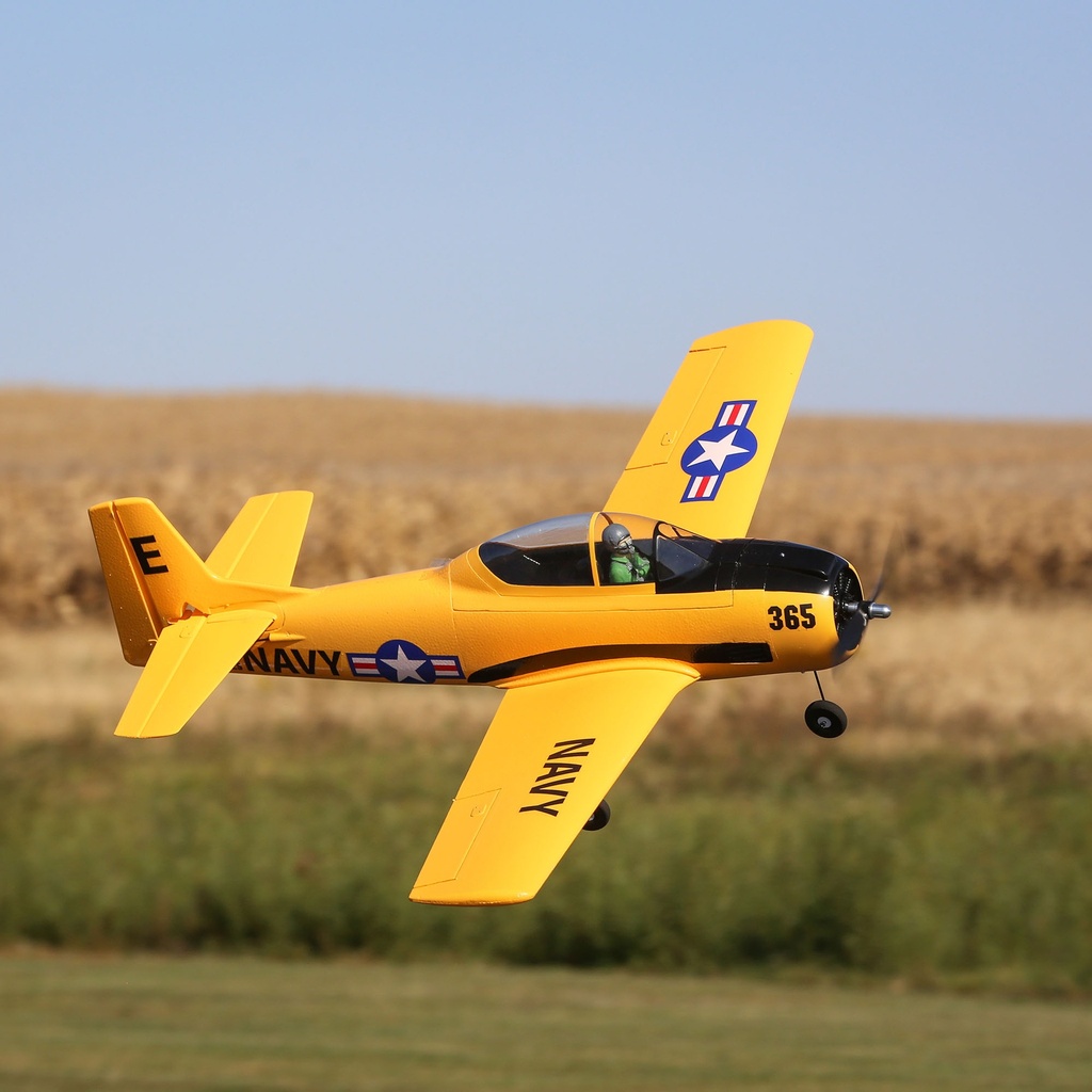 JTL:201009:EFL08250-EFL08250_A14_5X7LRWIW