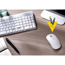 JTL:209266:VARTA-4903-4B_P53
