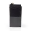 JTL:209482:BALA100006V_P25
