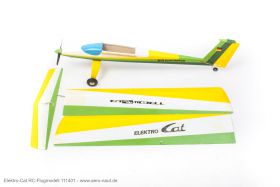JTL:210156:111401-Elektro-Cat%20RC-Flugmodell-IMG_3451