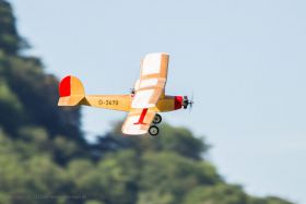 JTL:210317:133300-Udet_Flamingo-IMG_9478_280x280