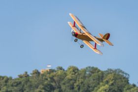 JTL:210318:133300-Udet_Flamingo-IMG_9497_280x280