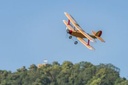 JTL:210318:133300-Udet_Flamingo-IMG_9497_280x280