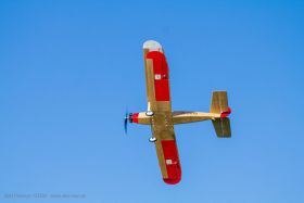 JTL:210319:133300-Udet_Flamingo-IMG_9518_280x280