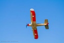 JTL:210319:133300-Udet_Flamingo-IMG_9518_280x280
