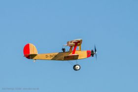 JTL:210320:133300-Udet_Flamingo-IMG_9542_280x280