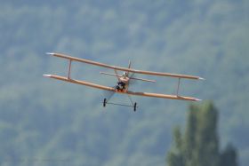 JTL:210321:133300-Udet_Flamingo-IMG_9547_280x280