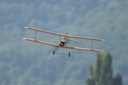 JTL:210321:133300-Udet_Flamingo-IMG_9547_280x280