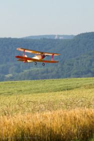 JTL:210324:133300-Udet_Flamingo-IMG_9569_280x280