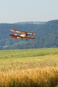 JTL:210324:133300-Udet_Flamingo-IMG_9569_280x280