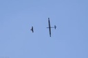 JTL:210335:133500-Spike-IMG_4177