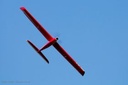 JTL:210343:133600-Pepper-IMG_6575