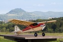 JTL:210441:136600-Shorty-IMG_0605_1920x1920