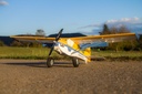 JTL:210454:136700-Sporty-IMG_1741