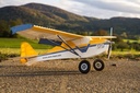 JTL:210455:136700-Sporty-IMG_1747