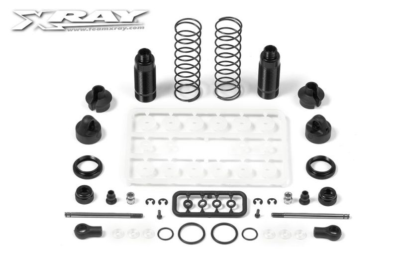 Stoßdämpfer Set hinten (2)