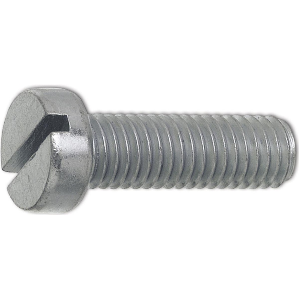 M4x8 Zylinderschraube mit Schlitz verzinkt ~ISO1207 4.8 (DIN 84A) (30 Stück)