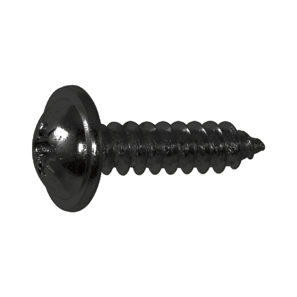 Blechschraube 2x10mm  Linsenkopf mit Scheibe  D5,25mm (VPE 20) schwarz