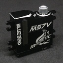 Blue Bird BMS-M57V