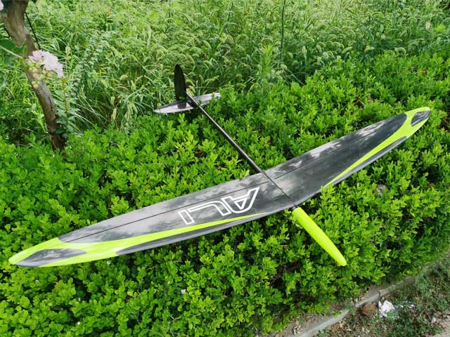 RCRCM Ali F3K/DLG CFK 1490mm ARF Grün