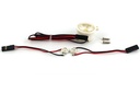 Freewing 80mm EDF JAS-39 Gripen LED Light