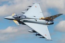 Freewing Eurofighter Typhoon 90mm EDF Jet - ARF PLUS