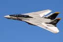 Freewing F-14 Tomcat Twin 64mm EDF Jet - PNP